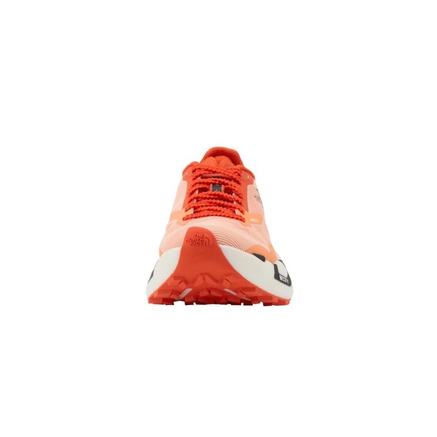 NEW! THE NORTH FACE ザ・ノース・フェイス サミット ベクティブ プロ 3［ユニセックス］ / NF02501 CLの画像