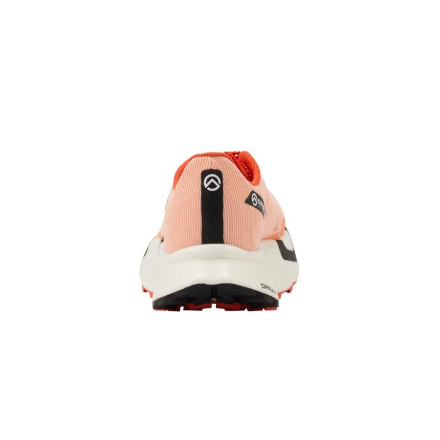 NEW! THE NORTH FACE ザ・ノース・フェイス サミット ベクティブ プロ 3［ユニセックス］ / NF02501 CLの画像