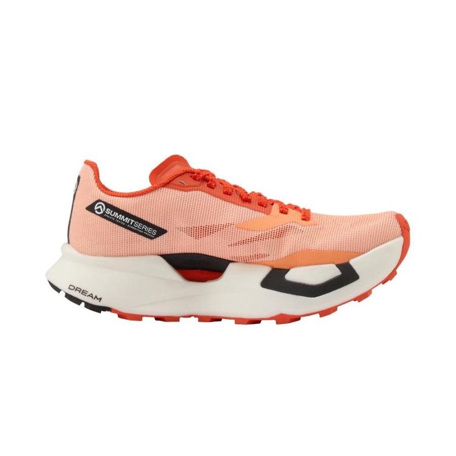 NEW! THE NORTH FACE ザ・ノース・フェイス サミット ベクティブ プロ 3［ユニセックス］ / NF02501 CLの画像