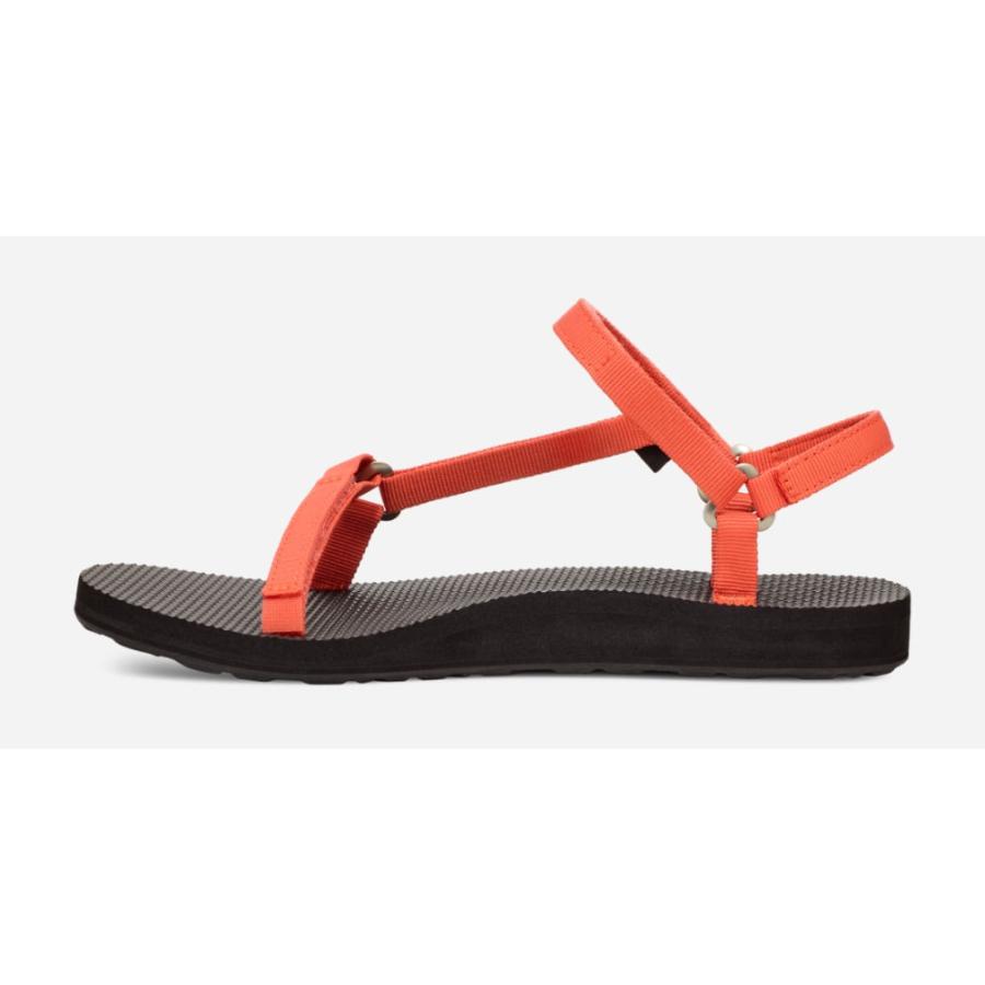 新品　テバ　ロンハーマン　ユニバーサルスリム　ネイビー　7 24センチ Teva（テバ） 【最大P5%！7/14迄】Teva オリジナル ユニバーサル