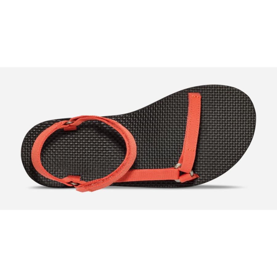 Teva（テバ） 【最大P5%！7/14迄】Teva オリジナル ユニバーサル