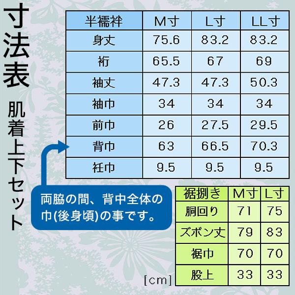 合用 『綿縞 和装下着上下セット』 身頃 綿100％ 紐なし半襦袢1着+裾捌き1着の上下セット ※上下のサイズが別々に選択可能 男性用 僧侶用_2