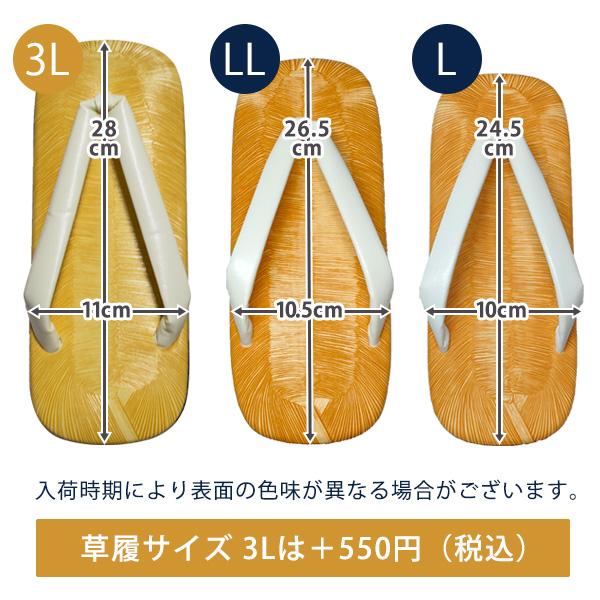 お祭り装束セット 裃 白衣 草履 3点セット 紋入れサービス付 夏祭り 神事 祭礼行列 祇園祭 男性用 M L LL サイズ対応 3L草履は追加料金の画像