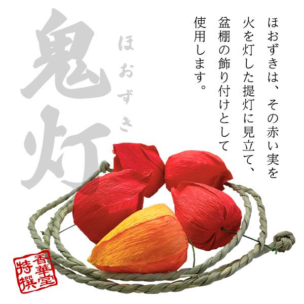 盆用品 祭壇用品 お盆飾り用品 鬼灯 ほおずき まこも縄5連 ほうずき