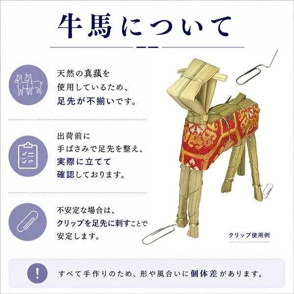 盆提灯 初盆セット 完全版 10点セット 選べる大内行灯1台 白提灯 盆