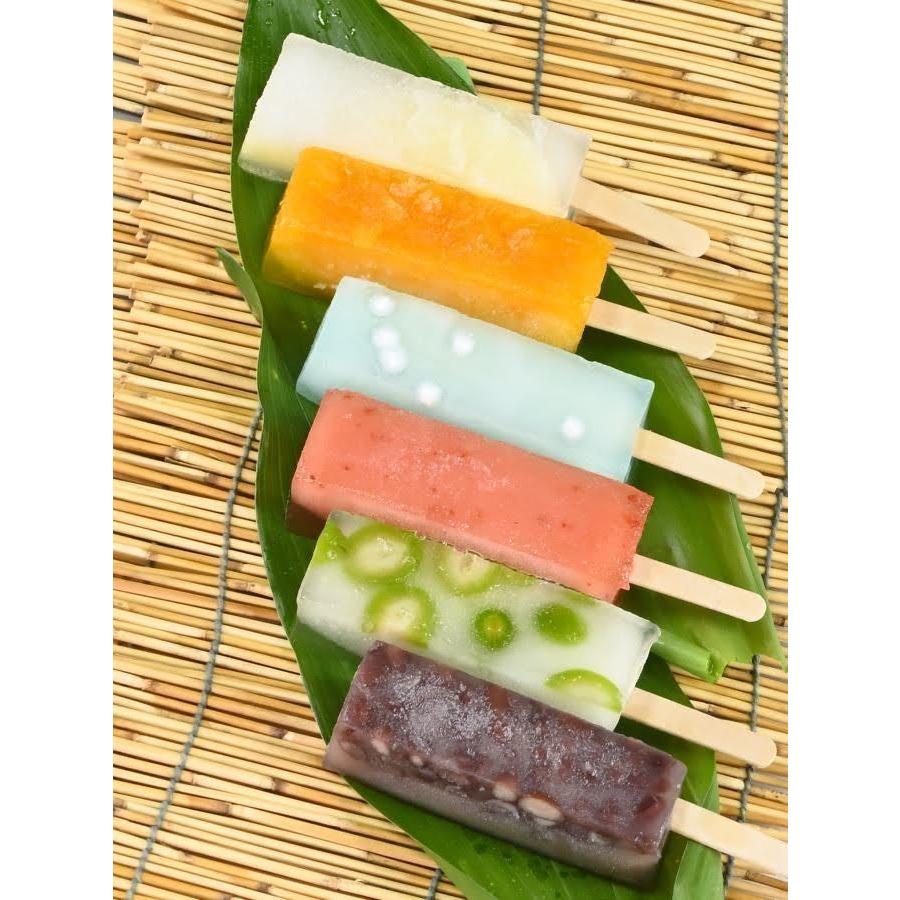【くず氷】６本入り（６種）　溶けないアイス！？モチ！シャリ！ぷるん！新食感和氷菓！夏の贈り物、おやつにおすすめです！（冷蔵、常温商品と同梱不可。）｜kokei-toki