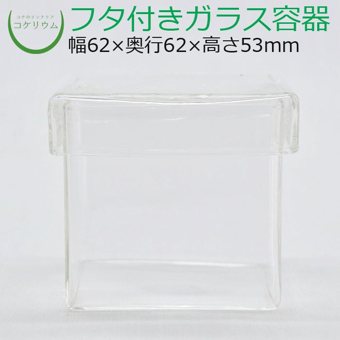 624円 11周年記念イベントが コケリウムガラス容器 15cmキューブ S フタ付
