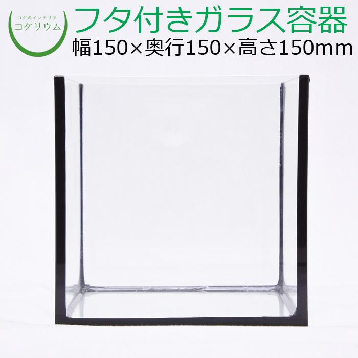 最大43 Offクーポン 園芸 コケリウム 容器 苔リウム コケリウムガラス容器 おしゃれ テラリウム ガラス容器 フタ付 S 観葉植物 15cmキューブbk 苔テラリウム コケ ミニ 苔 水槽