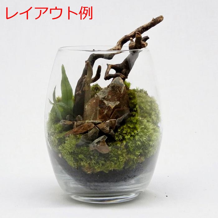石 天然石 観葉植物 おしゃれ ミニ テラリウム コケリウム 苔 コケ 苔