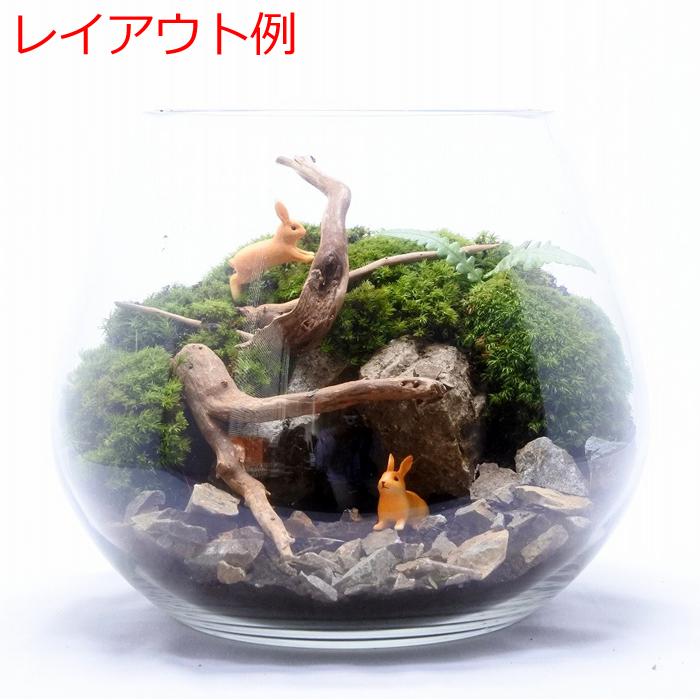 石 天然石 観葉植物 おしゃれ ミニ テラリウム コケリウム 苔 コケ 苔