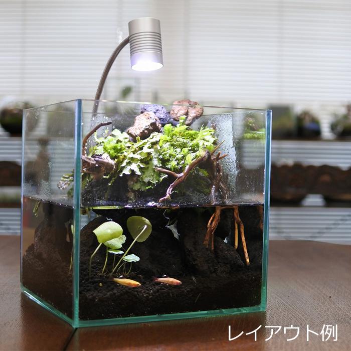 ️⭕️本日限定sale️⭕️アクアテラリウム 完成品 滝 ガラス水槽 滝の流れるアクアテラリウム No.1082 ️⭕️本日限定sale️