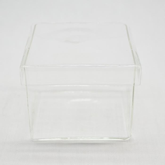 ガラス容器 結婚祝い 容器 観葉植物 おしゃれ ミニ テラリウム コケリウム 苔 苔リウム ハイドロカルチャー コケリウムガラス容器 フタ付 コケ キューブl 苔テラリウム