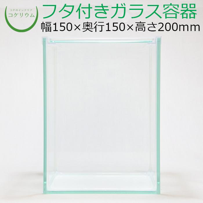 534円 安心の定価販売 ガラス容器 容器 観葉植物 おしゃれ ミニ テラリウム コケリウム 苔 コケ 苔テラリウム 苔リウム 園芸 コケリウム ガラス容器 15cmキューブ M フタ付