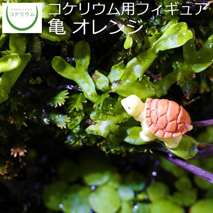 柔らかい 観葉植物 おしゃれ ミニ テラリウム フィギュア コケリウム 苔 コケ 苔テラリウム 苔リウム アクアリウム インテリア コケリウムフィギュア 亀 オレンジ