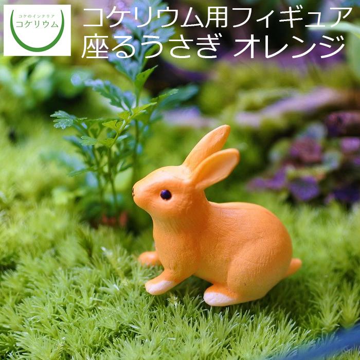 観葉植物 おしゃれ ミニ テラリウム フィギュア コケリウム 苔 コケ 苔テラリウム 苔リウム インテリア コケリウムフィギュア 座るうさぎ オレンジ 未使用品 ジェフコム ソフトプラポーチ スタンダードタイプ ブラック DPP-860M-BK