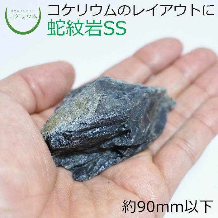 石 天然石 観葉植物 おしゃれ ミニ テラリウム コケリウム 苔 コケ 苔テラリウム 苔リウム 園芸 植物 ハイドロカルチャー 蛇紋岩SS 形状お任せ 94%以上節約 石 天然石 観葉植物 おしゃれ ミニ テラリウム コケリウム 苔 コケ 苔テラリウム 苔リウム 園芸 植物 ハイドロカルチャー 蛇紋岩SS 形状お任せ 94%以上節約