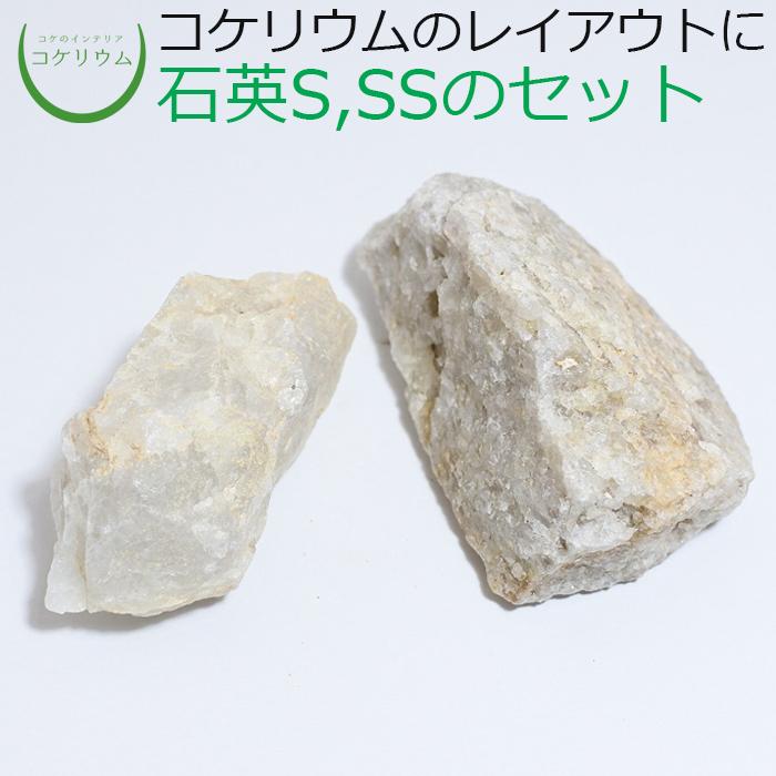 264円 【73%OFF!】 石 天然石 観葉植物 おしゃれ ミニ テラリウム コケリウム 苔 コケ 苔テラリウム 苔リウム 園芸 植物 ハイドロカルチャー 石英レイアウトセット 形状お任せ 264円 【73%OFF!】 石 天然石 観葉植物 おしゃれ ミニ テラリウム コケリウム 苔 コケ 苔テラリウム 苔リウム 園芸 植物 ハイドロカルチャー 石英レイアウトセット 形状お任せ