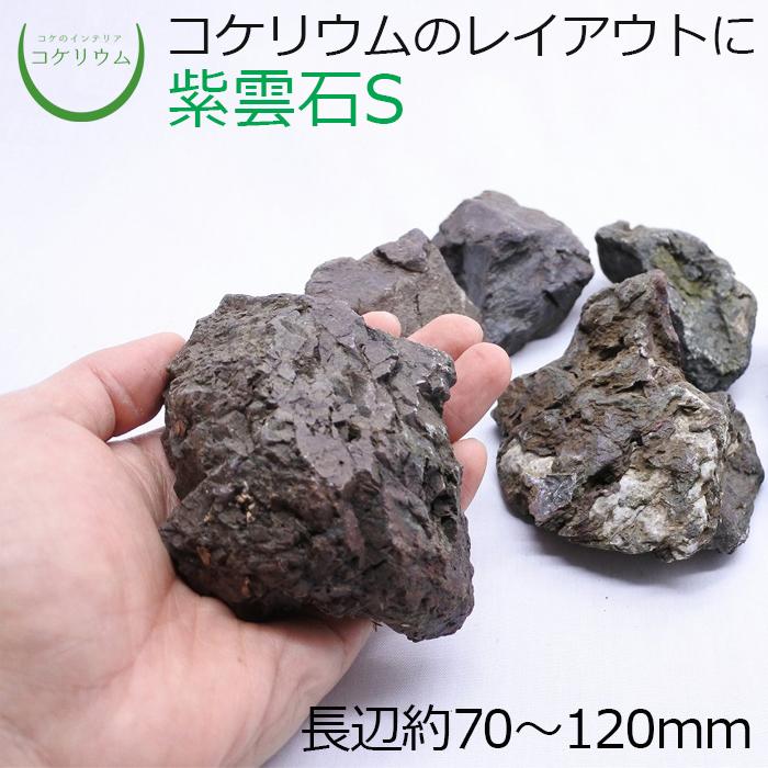 石 天然石 観葉植物 おしゃれ ミニ テラリウム コケリウム 苔 コケ 苔テラリウム 苔リウム 園芸 植物 ハイドロカルチャー 紫雲石S 形状お任せ 7周年記念イベントが 石 天然石 観葉植物 おしゃれ ミニ テラリウム コケリウム 苔 コケ 苔テラリウム 苔リウム 園芸 植物 ハイドロカルチャー 紫雲石S 形状お任せ 7周年記念イベントが