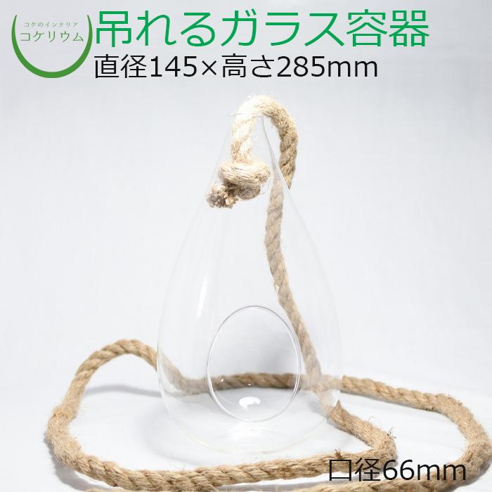 ブランドのギフト ガラス容器 容器 観葉植物 おしゃれ ミニ テラリウム コケリウム 苔 コケ 苔テラリウム 苔リウム コケリウムガラス容器 ラージハンギングベース ドロップ28 Fundaterapia Com
