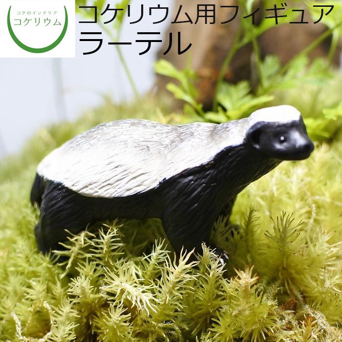 観葉植物 おしゃれ ミニ テラリウム フィギュア コケリウム 苔 コケ 苔テラリウム 苔リウム アクアリウム インテリア コケリウムフィギュア ラーテル 正規品販売