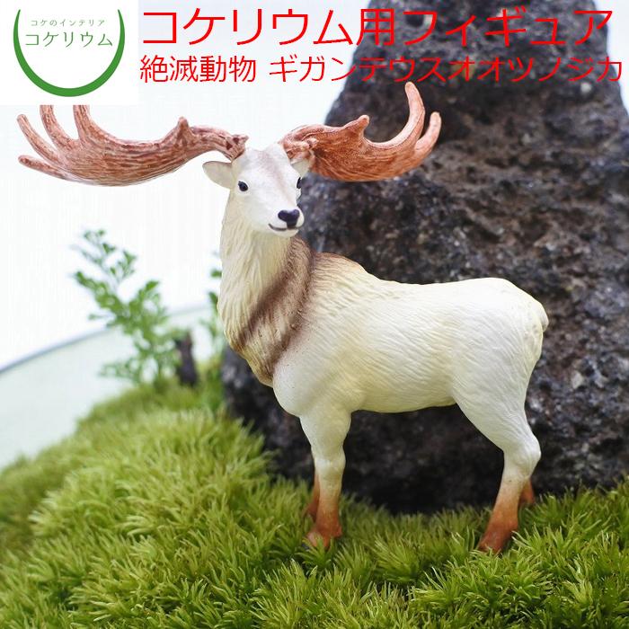 観葉植物 ミニ テラリウム フィギュア コケリウム 苔 コケ 苔