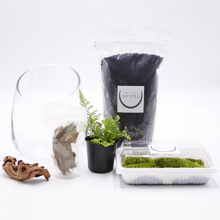 観葉植物 おしゃれ ミニ テラリウム キット コケリウム 苔 コケ 無料サンプルok ハイドロカルチャー 園芸 コケリウムキット 初心者 セット 苔 テラリウム 森の階段 苔リウム