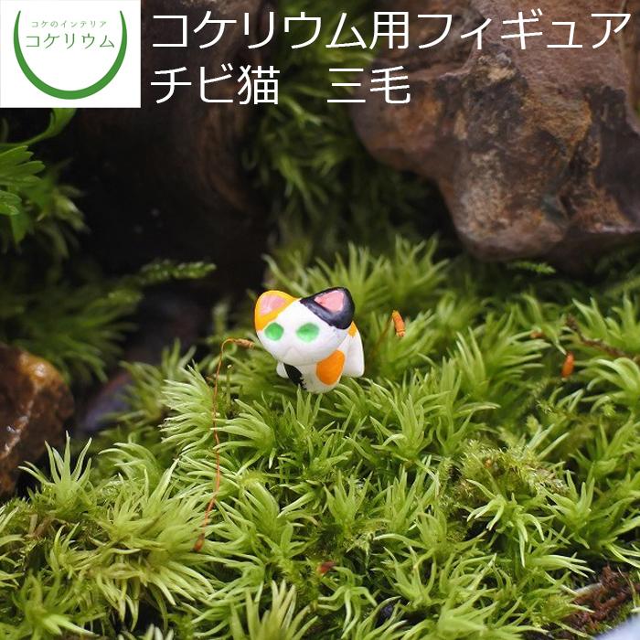 コケのインテリア コケリウム 観葉植物 おしゃれ ミニ テラリウム フィギュア 苔 コケ 苔テラリウム 苔リウム インテリア ハンドメイド コケリウムフィギュア チビ猫 三毛 正規販売店