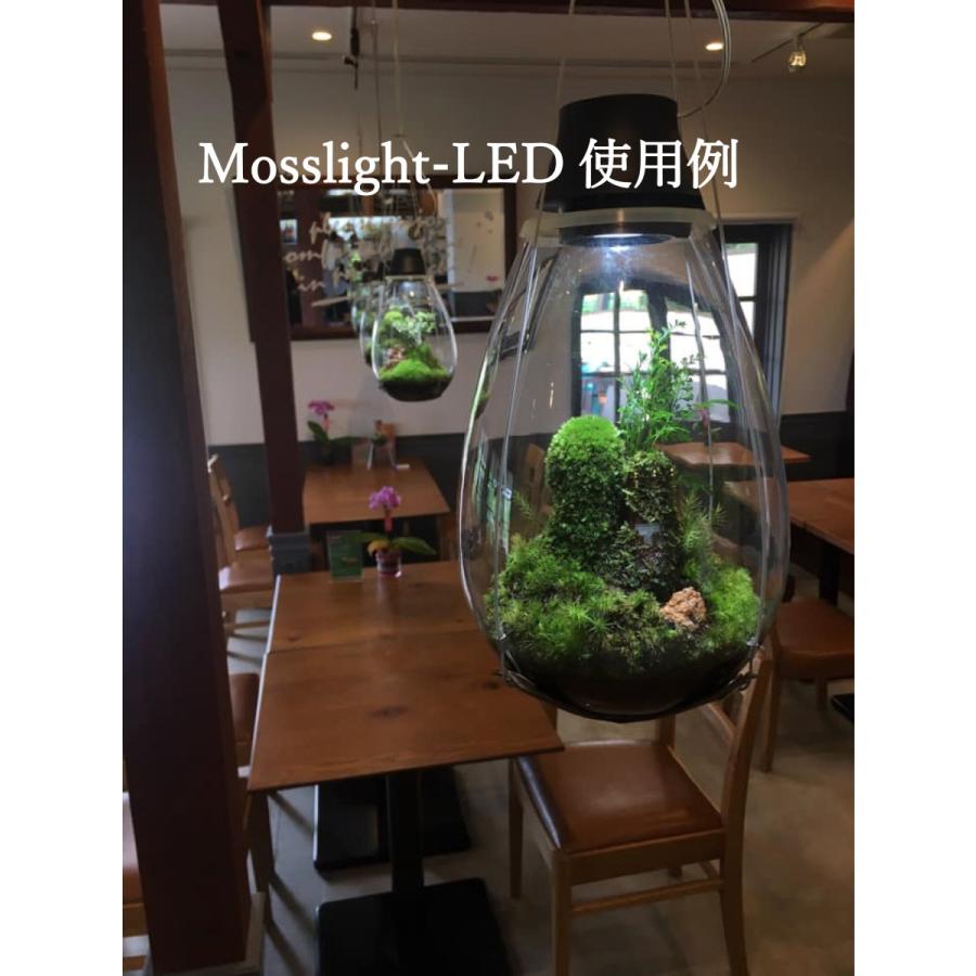 苔テラリウム モスライト LED照明つき インテリア ガラス容器