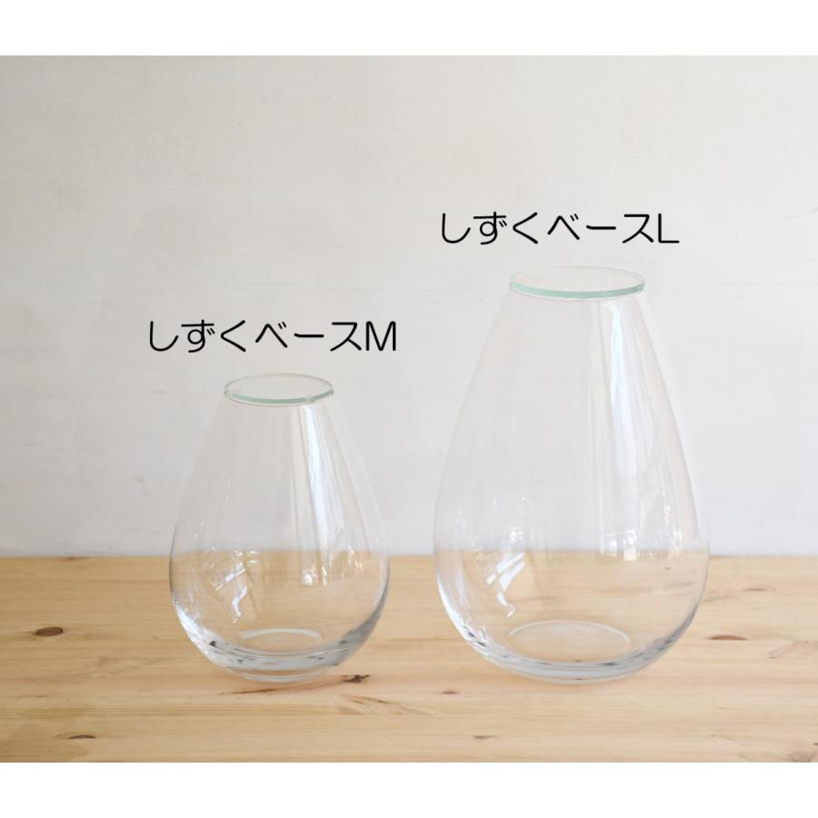 苔テラリウム コケリウム ガラス容器 蓋付き）しずくベース・L