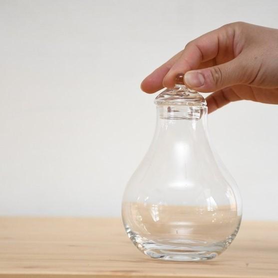 苔テラリウム ガラス容器 蓋付き しずく型 インテリア 瓶）フィグ瓶