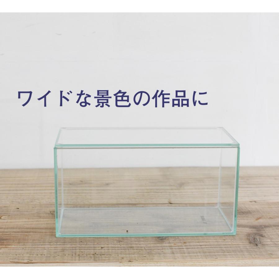テラリウムケース No.26