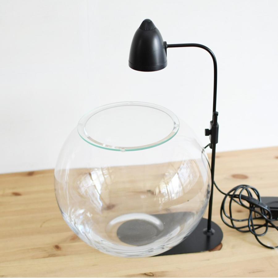 最も優遇 ガラス容器 ラージボール L ふた付き 250ｘｈ210ｍｍ Ledライトset 9 500 限定価格セール Zoetalentsolutions Com