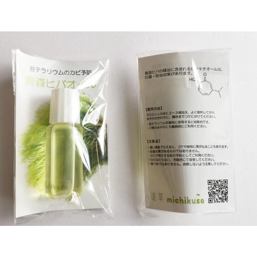 苔テラリウムのカビ予防に 青森ヒバ精油 10ｃｃ 定形外郵便 P003 苔テラリウム道草michikusa 通販 Yahoo ショッピング