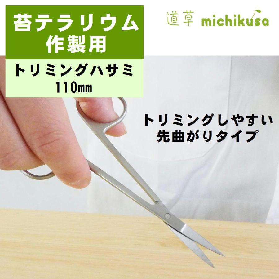 苔テラリウム 苔盆栽 コケリウム ツール ハサミ ピンセット コケ）作製