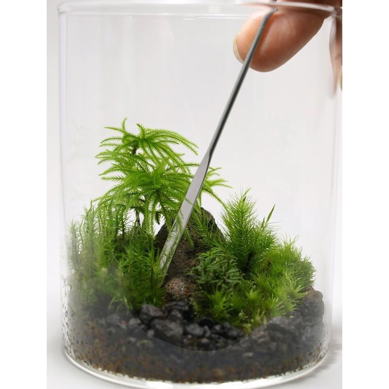 苔テラリウム 苔盆栽 コケリウム ツール ミクロスパーテル