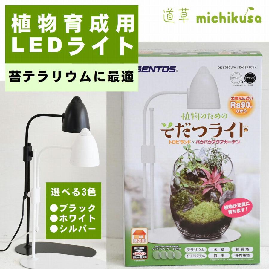 植物育成ライト 苔テラリウム コケリウム 苔 室内栽培 育つ 植物育成ライト 苔テラリウム コケリウム 苔 室内栽培 育つ