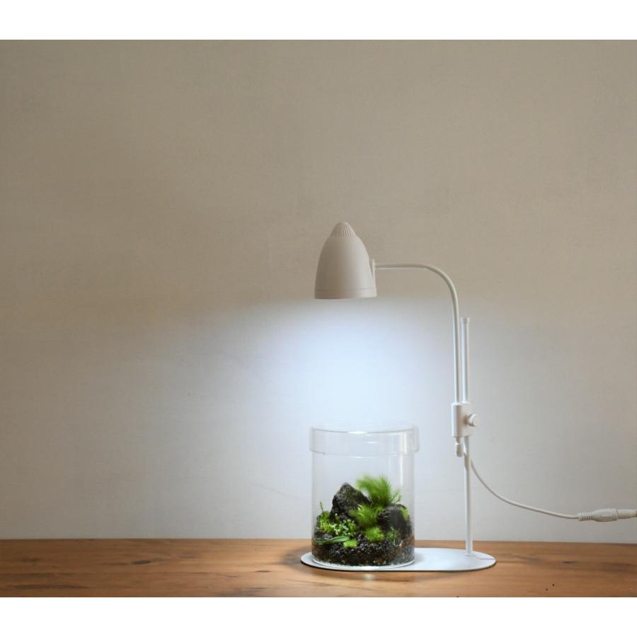 植物育成ライト LED 苔テラリウム コケリウム 苔 室内栽培 育つ ライト