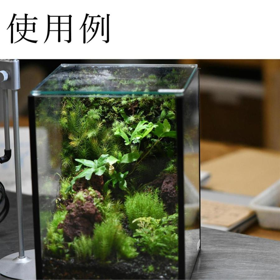 パルダリウム水槽セット/完成品/テラリウム/苔リウム/苔テラリウム 活着君 苔テラリウム 造形 苔壁 ソイル 植物が育つ布 苔盆栽 苔