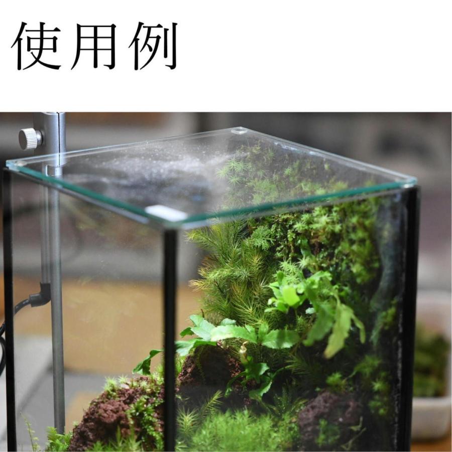 壁に生えるコケの表現に 活着君 Sサイズ 30ｘ24cm レターパック P052 苔テラリウム道草michikusa 通販 Yahoo ショッピング