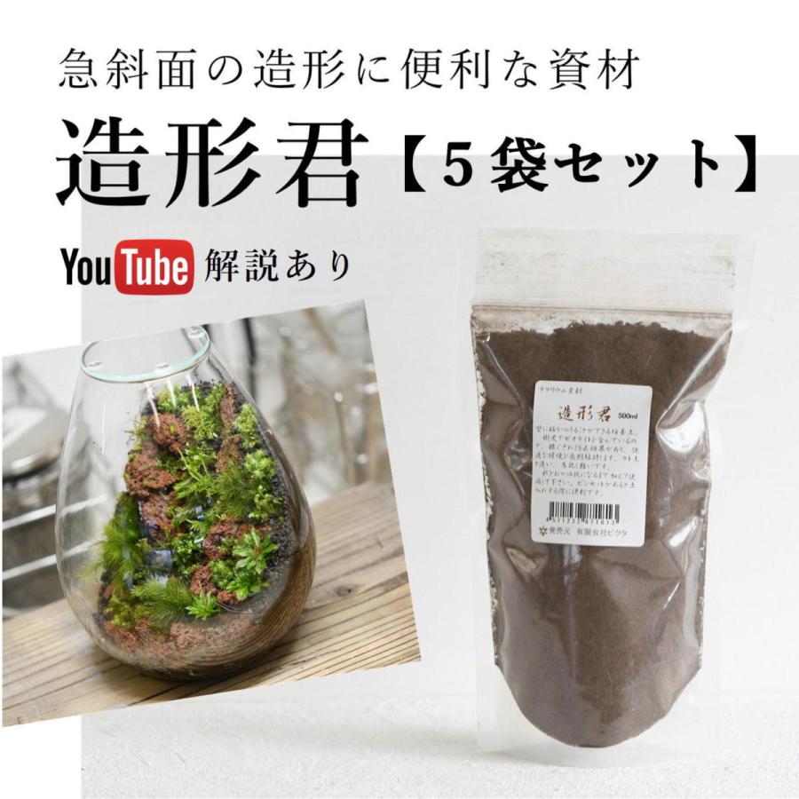 苔テラリウム 造形 土 ソイル 斜面をつくるのに便利 苔盆栽 苔