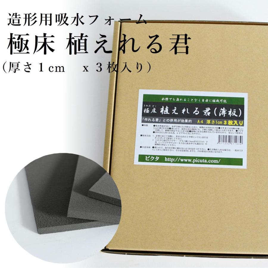 直送商品 造形用吸水フォーム 極床 植えれる君 3枚入り 苔テラリウムレイアウト用 厚さ1ｃｍ