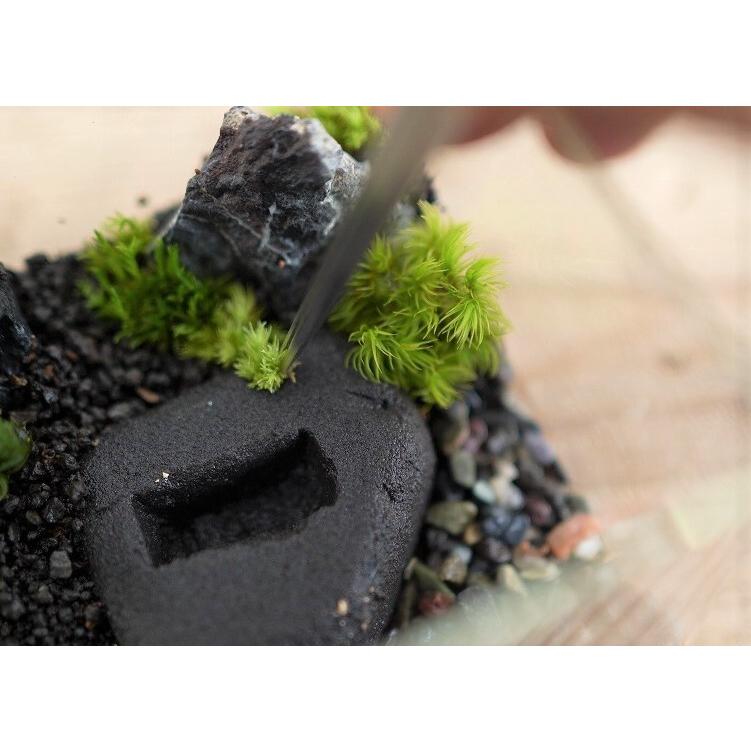 造形用吸水フォーム】極床 植えれる君（厚さ3cm）｜苔テラリウム