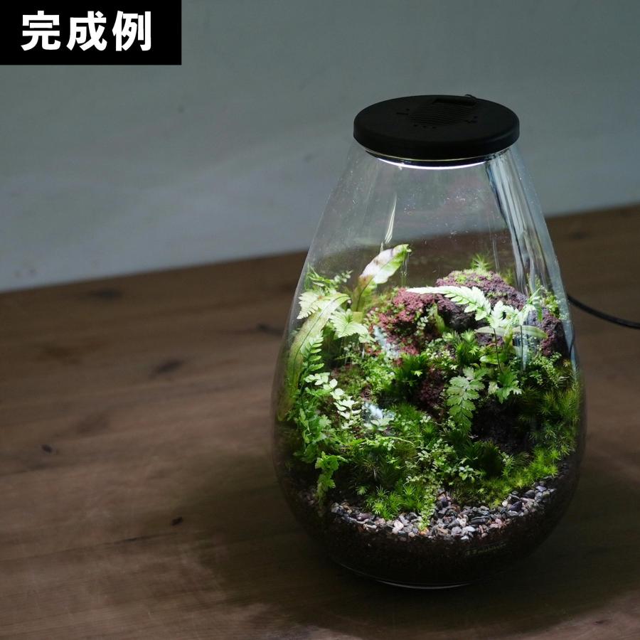 テラリウム用LED照明 Air&light ◇タイマー内蔵・USB給電・換気