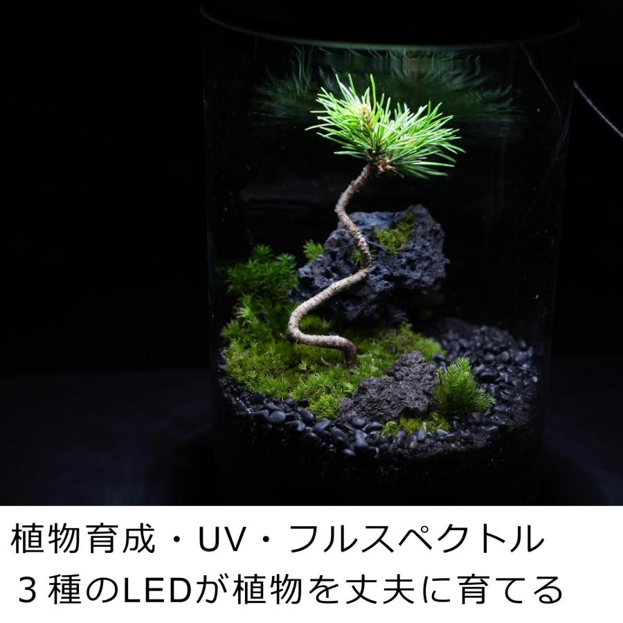 テラリウム用LED照明 Air&light ◇タイマー内蔵・USB給電・換気機能