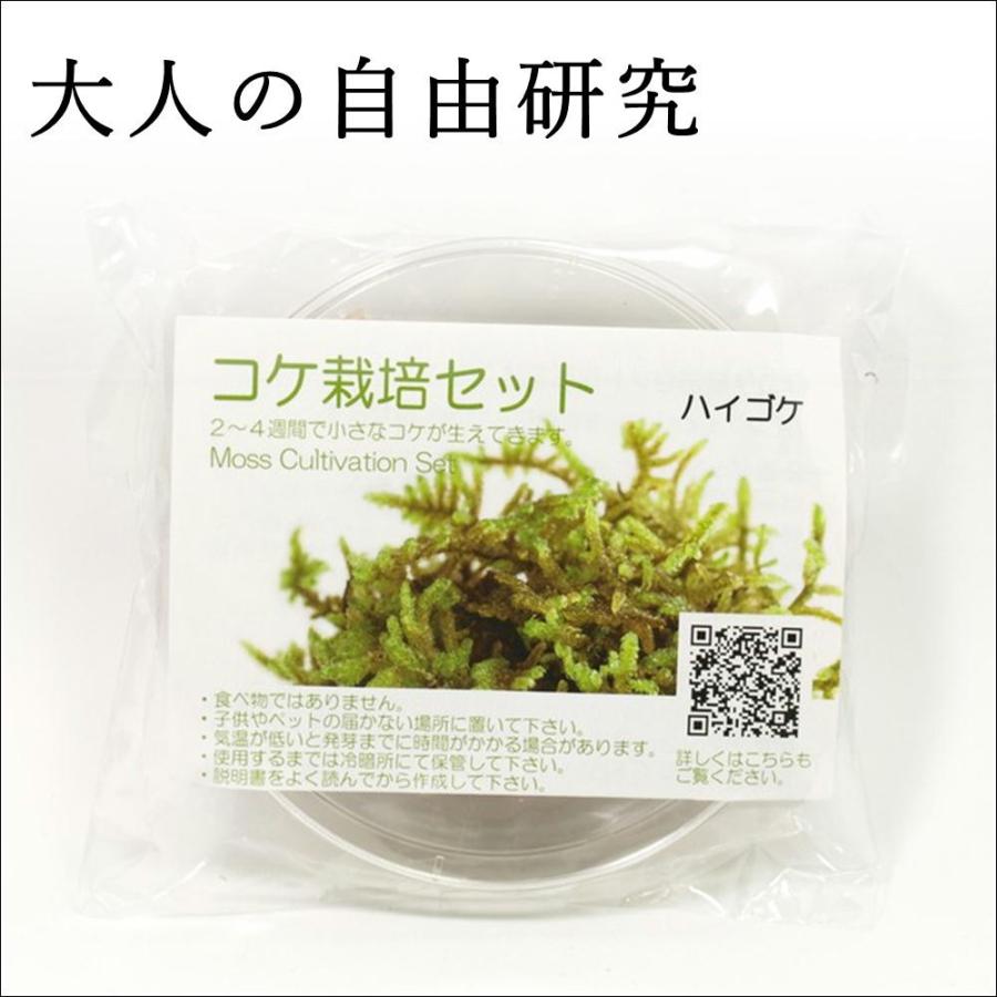 撒きゴケで育てる コケ栽培セット ハイゴケ 種ゴケを蒔いて２ ３ヶ月間かけてじっくり育てる大人の自由研究 レターパック Tera025 苔テラリウム道草michikusa 通販 Yahoo ショッピング