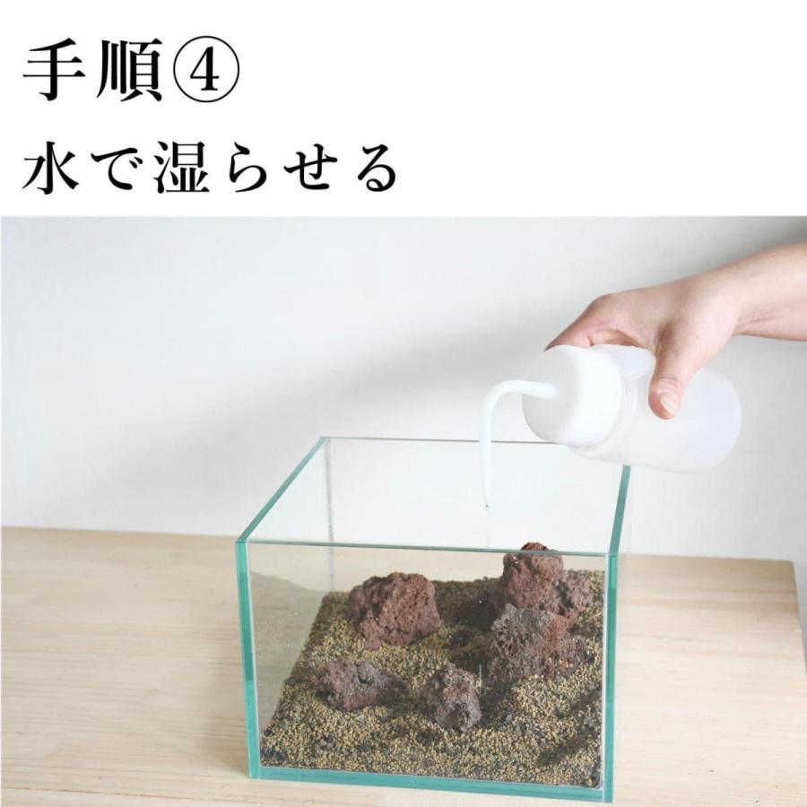 cm水槽で作る苔テラリウムキット 選べる２種 8種コケ入り 送料無料 解説動画 苔テラリウム キット 苔 コケ テラリウム セット コケリウム 水槽 本格 Tera033 苔テラリウム道草michikusa 通販 Yahoo ショッピング