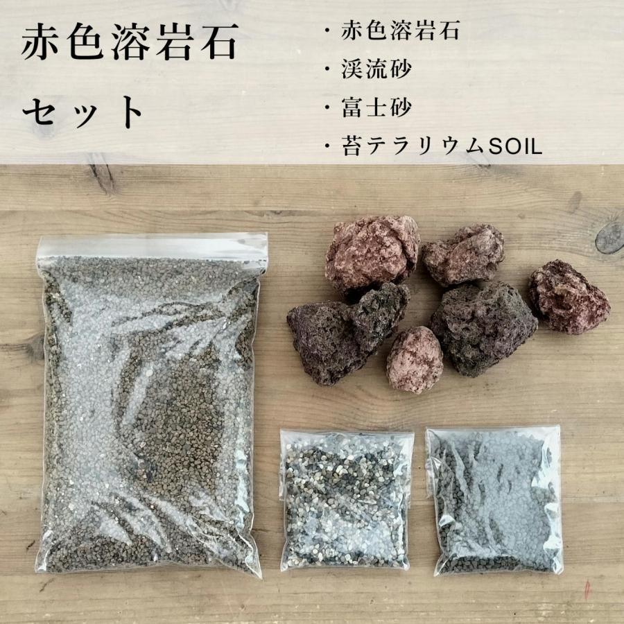 鑑賞石、アクアリウム、苔テラリウム、箱庭、坪庭、水石、盆栽、鉱石、ガーデニング 楽天市場】（観葉植物）苔テラリウム 鉱石レイアウト クォーツ