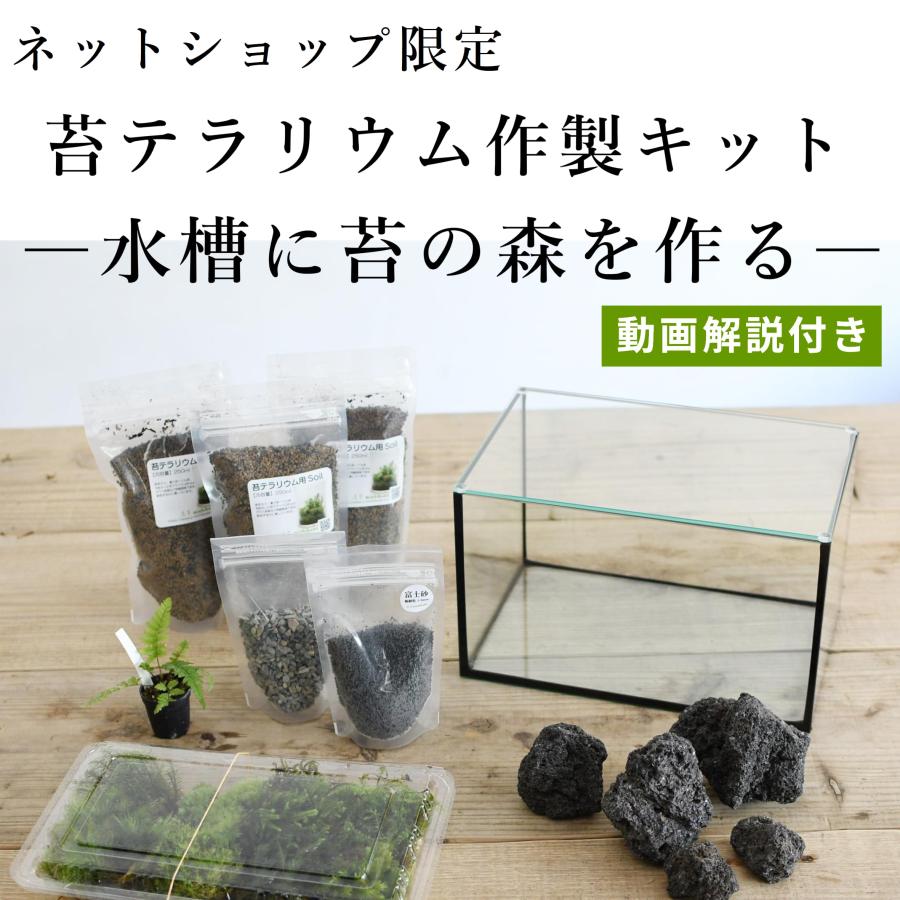 パルダリウム水槽セット/完成品/テラリウム/苔リウム/苔テラリウム 90cm水槽で苔テラリウム立ち上げます🌿✨ ・ ・ ワクワク