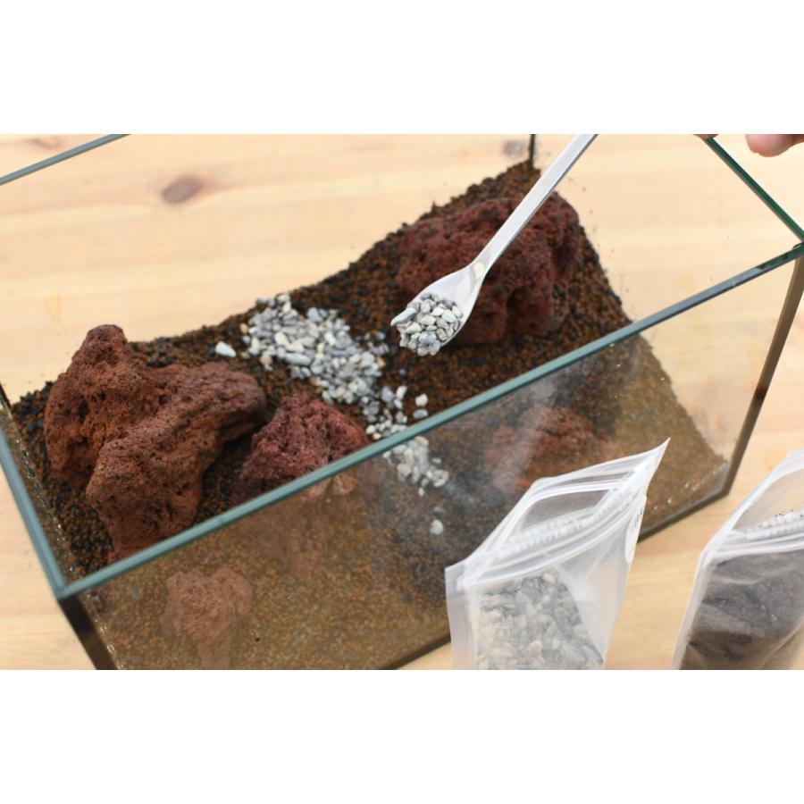 コケ 苔テラリウム キット コケリウム はじめて 苔盆栽 おしゃれ