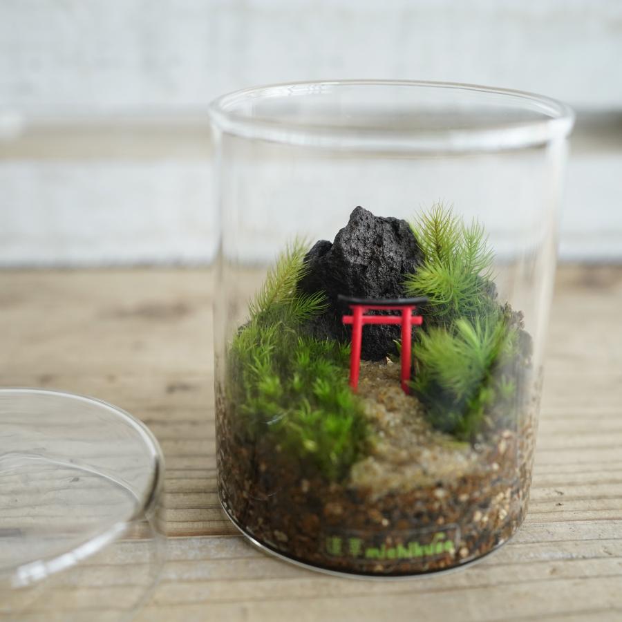 苔テラリウム 完成品 フィギュア 苔盆栽 コケリウム 苔 観葉植物 苔テラリウム 完成品 フィギュア 苔盆栽 コケリウム 苔 観葉植物